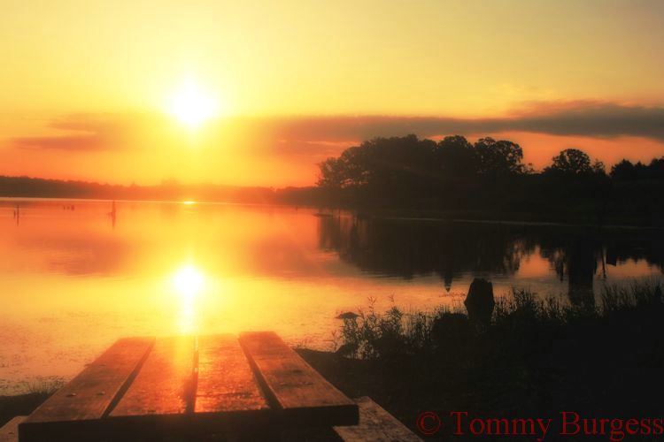 Lakeside Sunrise