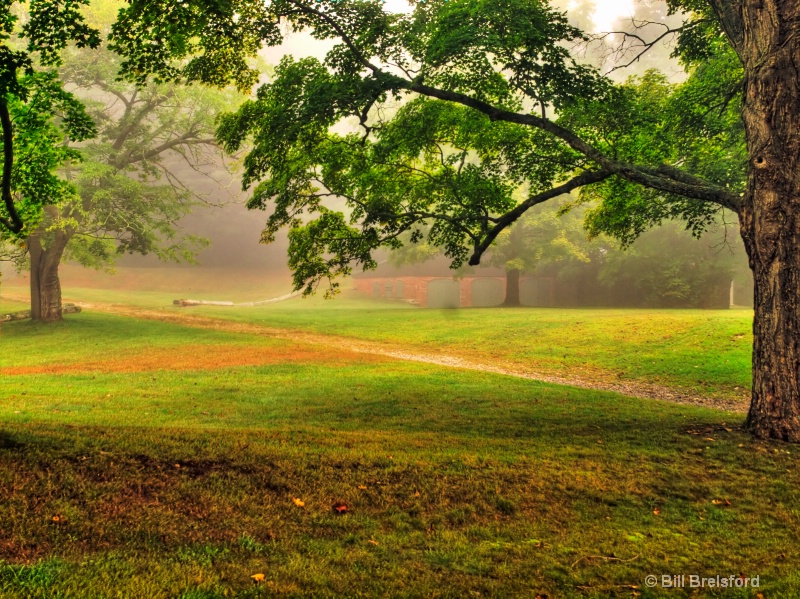 FOGGY MORNING