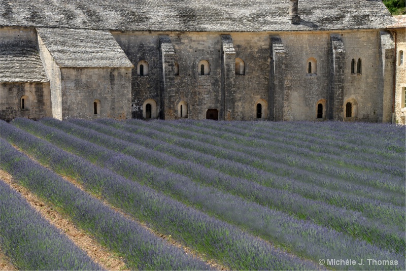 Lavender Fields at  Senanque Abbey, France ! - ID: 13333479 © Michèle J. Thomas