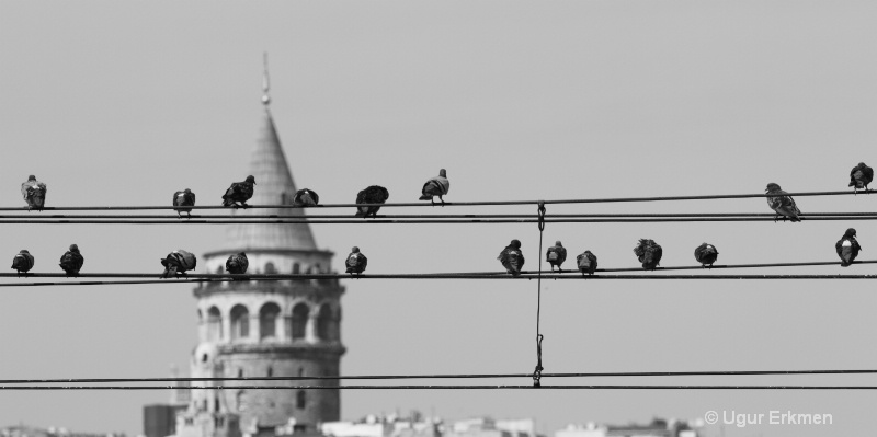 Galata Tower,Istanbul