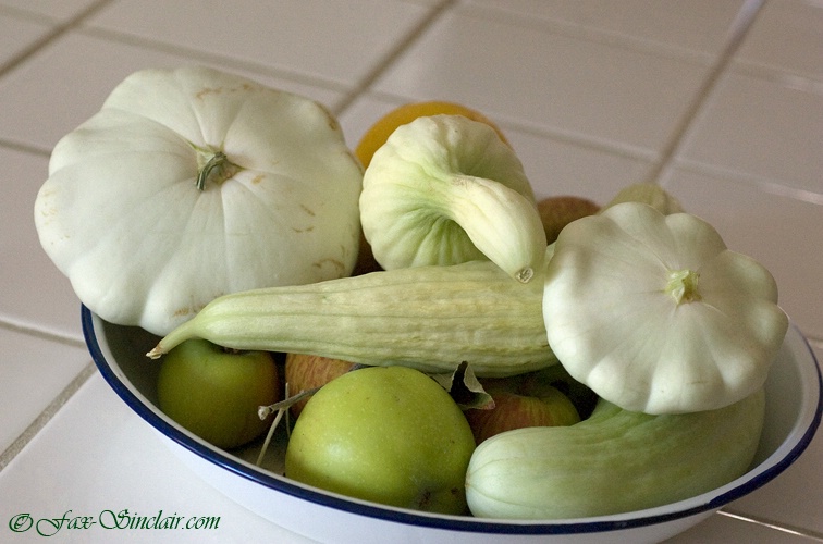 White Vegetables  - ID: 13340592 © Fax Sinclair