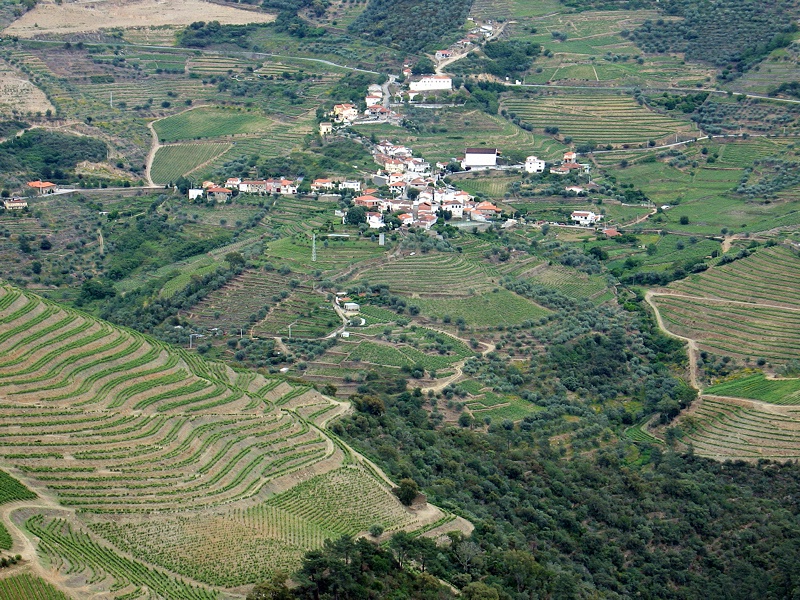 Vineyards and white villages