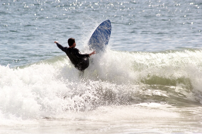 Surfs Up *