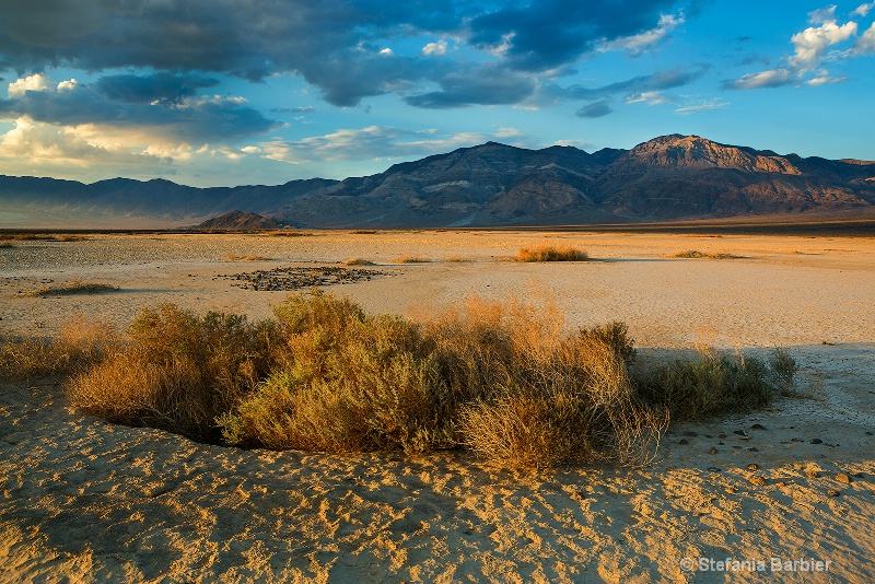 Death Valley - ID: 13350070 © Stefania Barbier