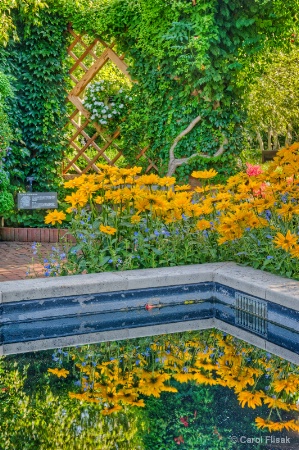 The Enabling Garden ~ Chicago Botanic Gardens