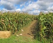 A-Maze-Ing