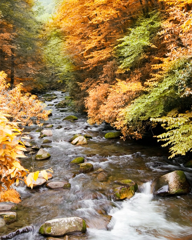 Fall Stream