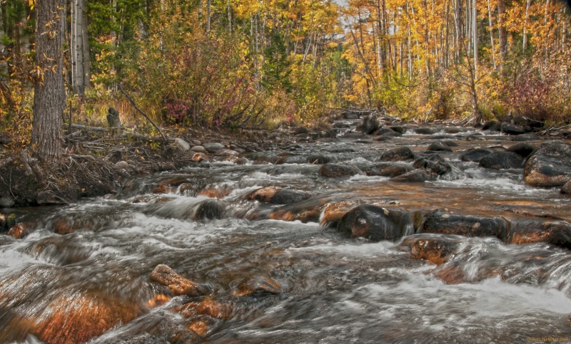 Monarch River Aspen
