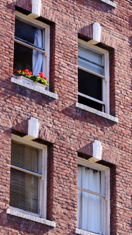 windows on a wall - ID: 13360164 © ashley nicholas