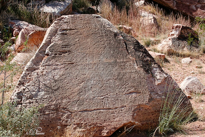 "Rock Art" at Red Springs in Calico Basin,