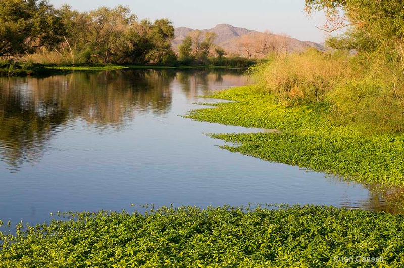 Baseline and Meridian Wildlife Area