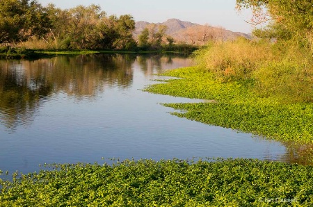 Baseline and Meridian Wildlife Area