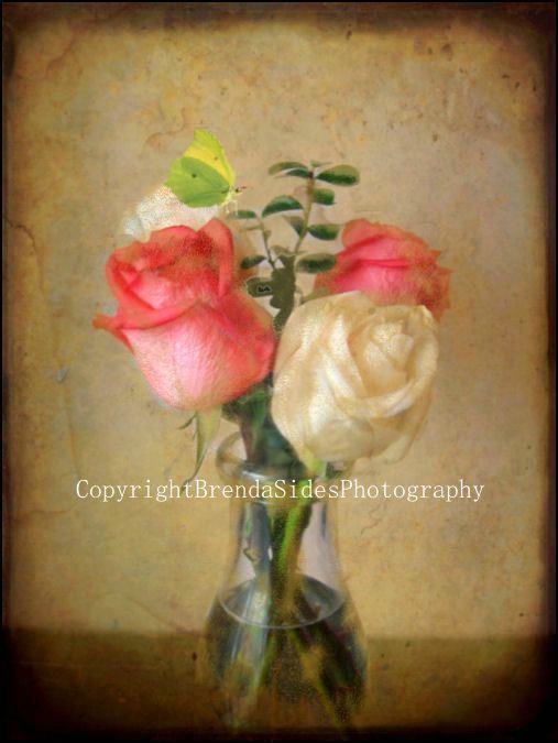~Roses with Visitor~