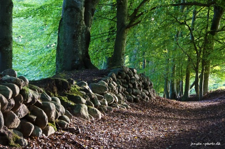 Stone Fence