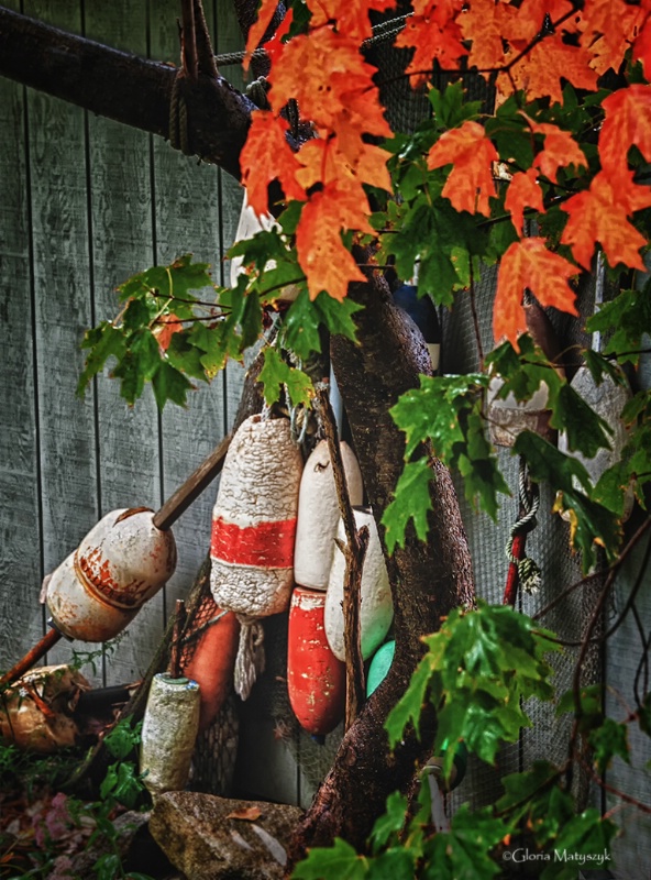 Autumn in Maine