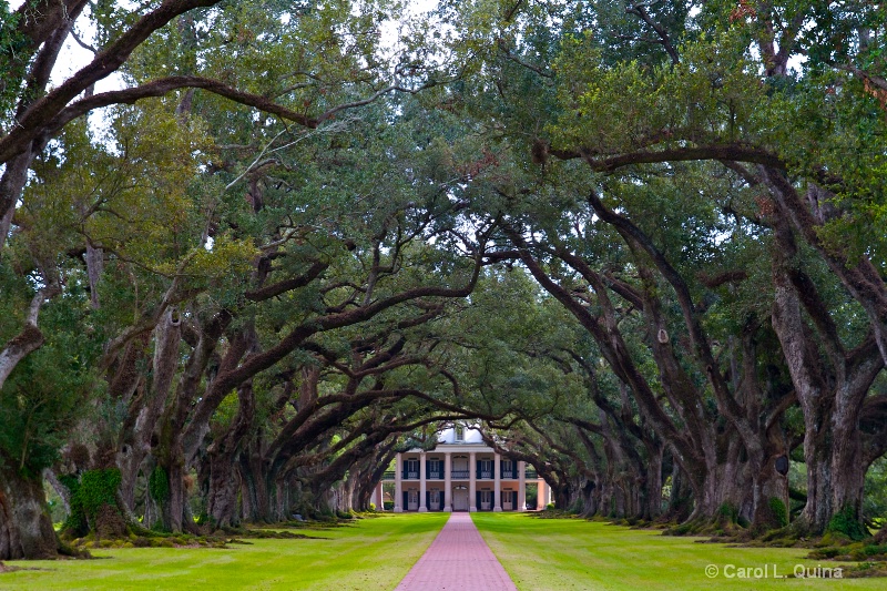 Oak Alley