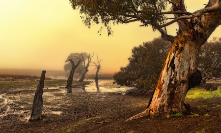 THe Glenelg River