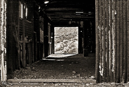 Through the Abandoned Door