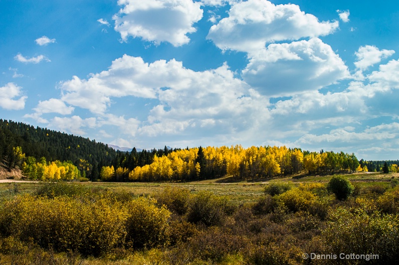 Aspens 3 - ID: 13373467 © Dennis K. Cottongim