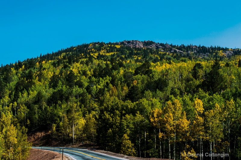 Aspens 16 - ID: 13373676 © Dennis K. Cottongim