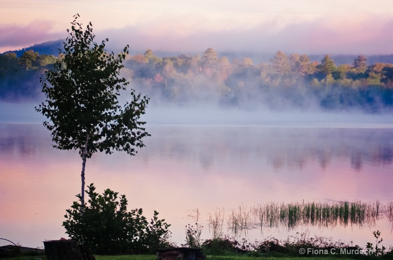 Morning Mist, Maine