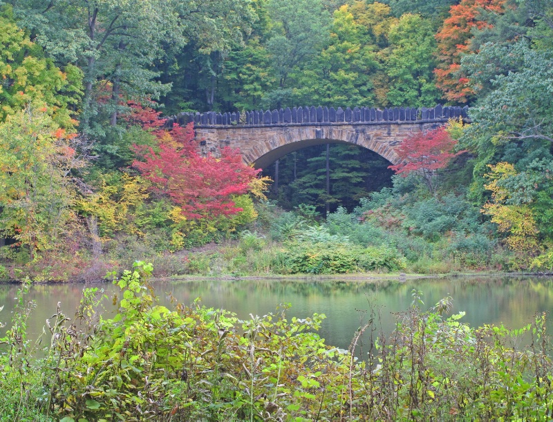 The Parapet Bridge