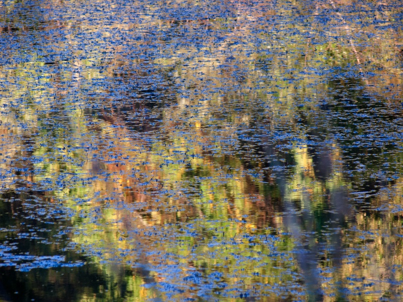 Reflections 1
