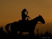 Cowgirl Silhouett...