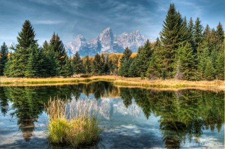 Schwabacher's Landing