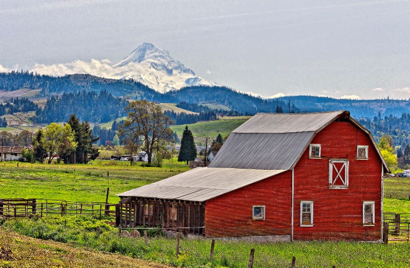 Barn near Mt. Hood