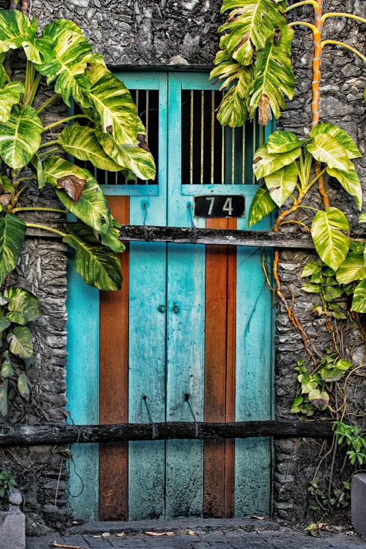 Turquoise Doors