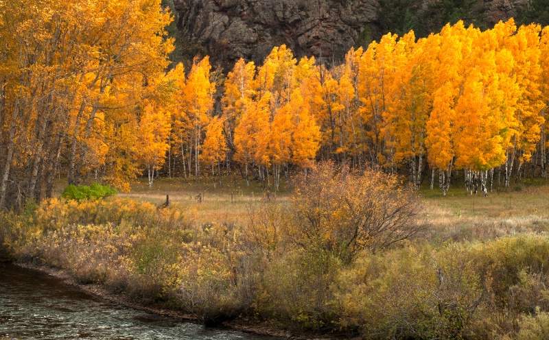 Buffalo Creek, Colorado