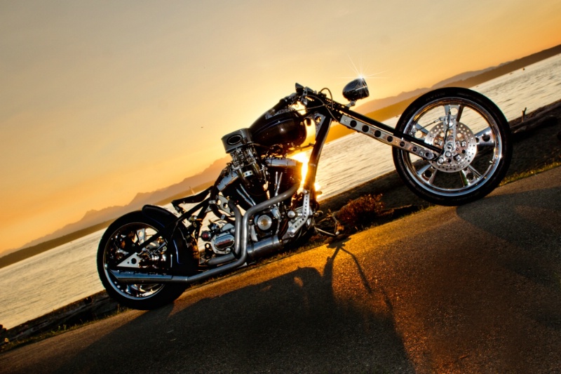 Sunset rider
