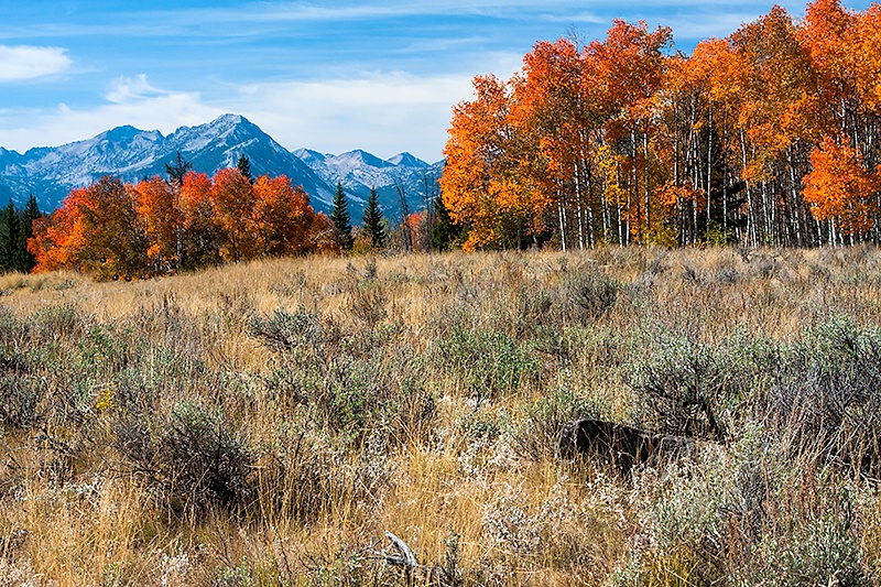 Idaho In The Fall