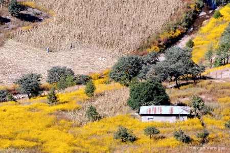 House by the mountain