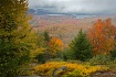 View from atop Mc...