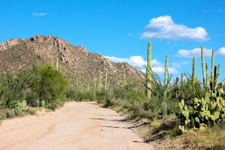The Road Less Traveled