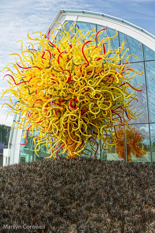 Chihuly Garden - II