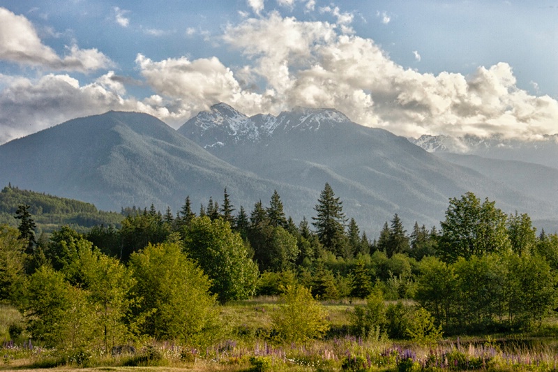 olympic peninsula cabin wa b 4466 - ID: 13395480 © James E. Nelson