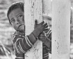 Curiosity