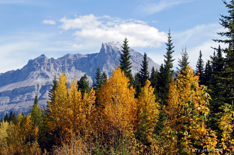 Canadian Rockies Color - ID: 13397436 © Terry Jennings