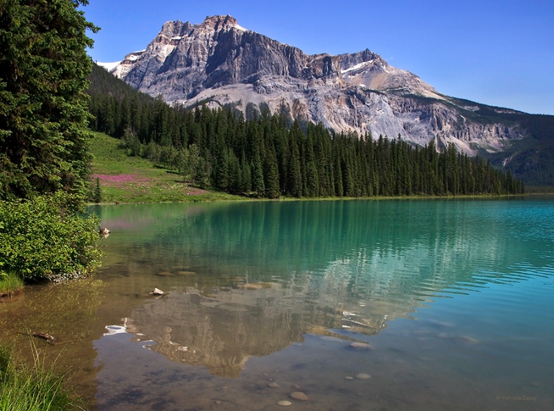 Emerald Lake - ID: 13397437 © Patricia A. Casey