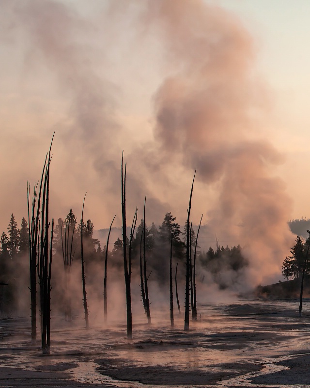 Natural Steam - ID: 13398718 © Michael Kelly