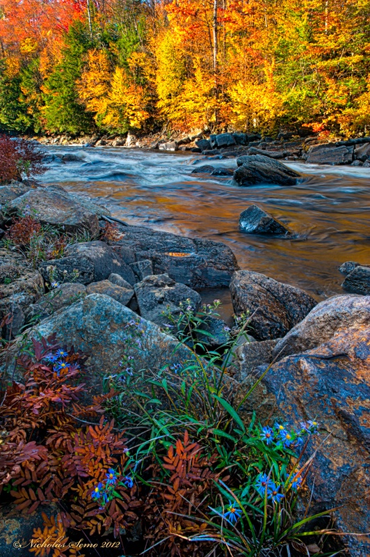 Moose River