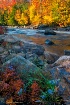 Moose River