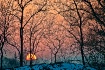 Winter Sunset