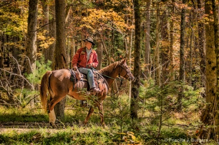 The Trail Leader