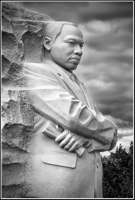 MLK Immortalized