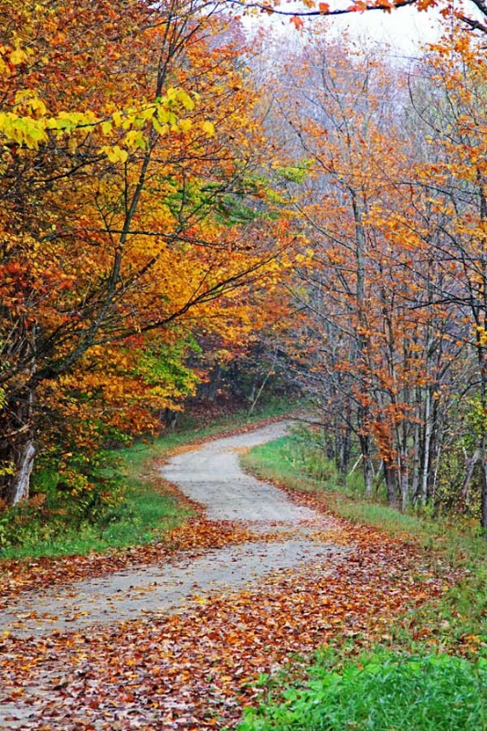 Autumn Road - EP