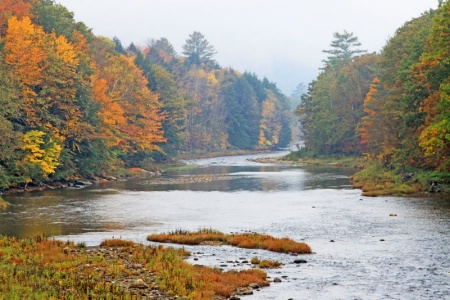 Foggy Autumn Morning in Vermont - EP